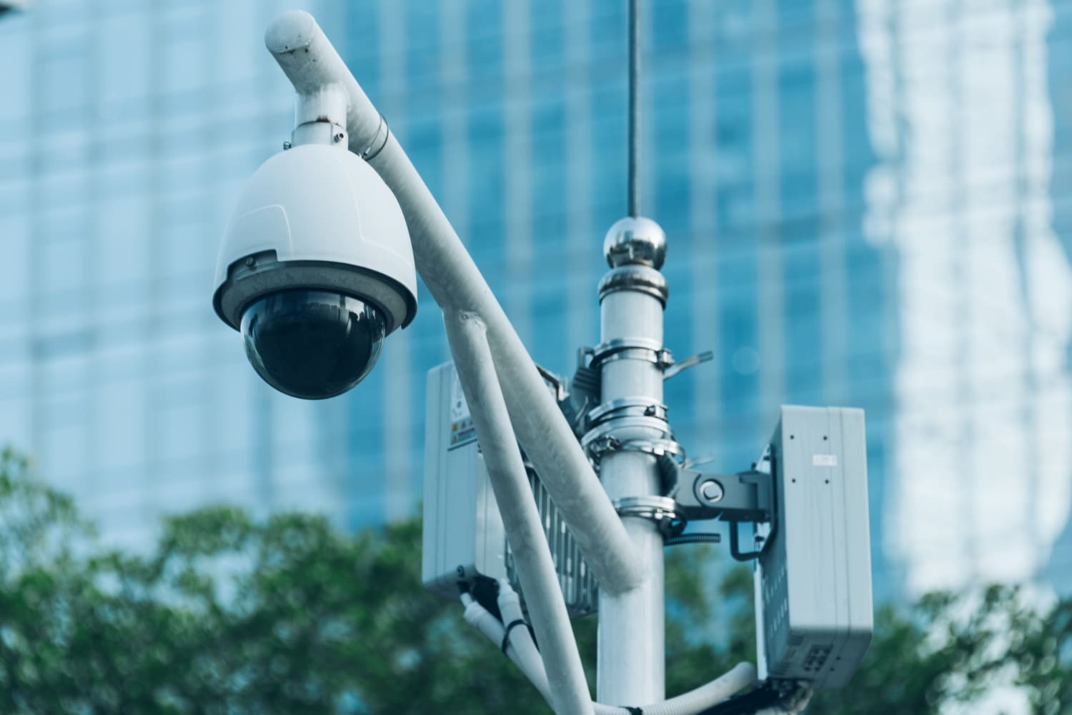 ¿Por qué mi negocio debería tener cámaras de seguridad?
